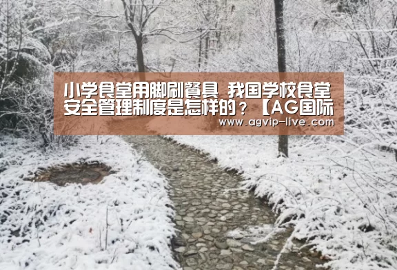 小学食堂用脚刷餐具 我国学校食堂安全管理制度是怎样的?【AG国际厅】(图1) 小学食堂用脚刷餐具 我国学校食堂安全管理制度是怎样的?【AG国际厅】(图1)