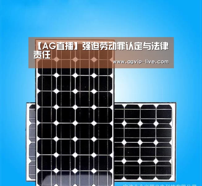 【AG直播】强迫劳动罪认定与法律责任(图3) 【AG直播】强迫劳动罪认定与法律责任(图3)